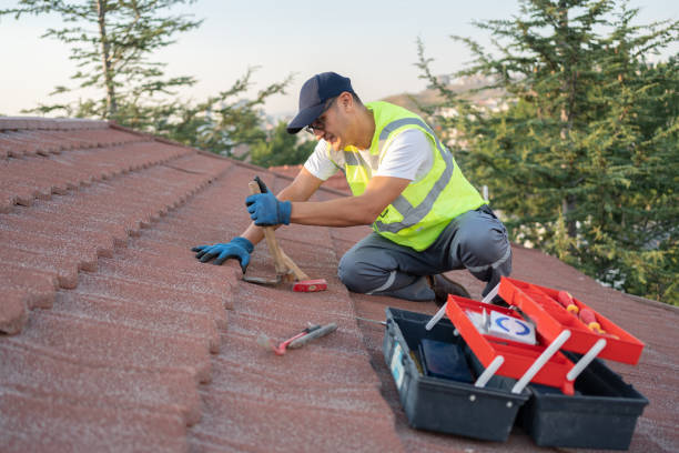 Best Roof Repair Services  in Georgetown, IL