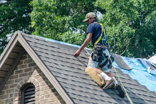 Best Roofing Contractors for Homes  in Georgetown, IL